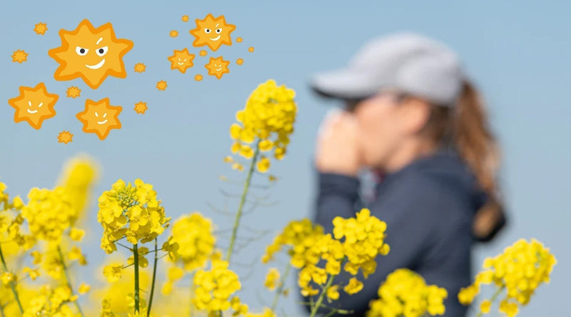Wenn der Frühling zur Qual wird: Wie Sie den Allergie-Teufelskreis mit dem "Gold der Pharaonen" durchbrechen und das überreizte Immunsystem endlich beruhigen