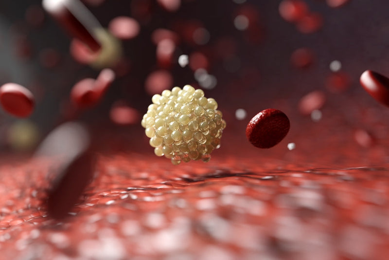 Triglyceride: Die heimlichen Fettfallen in Ihrem Blut – und warum herkömmliche Diäten Ihr Risiko sogar ERHÖHEN können