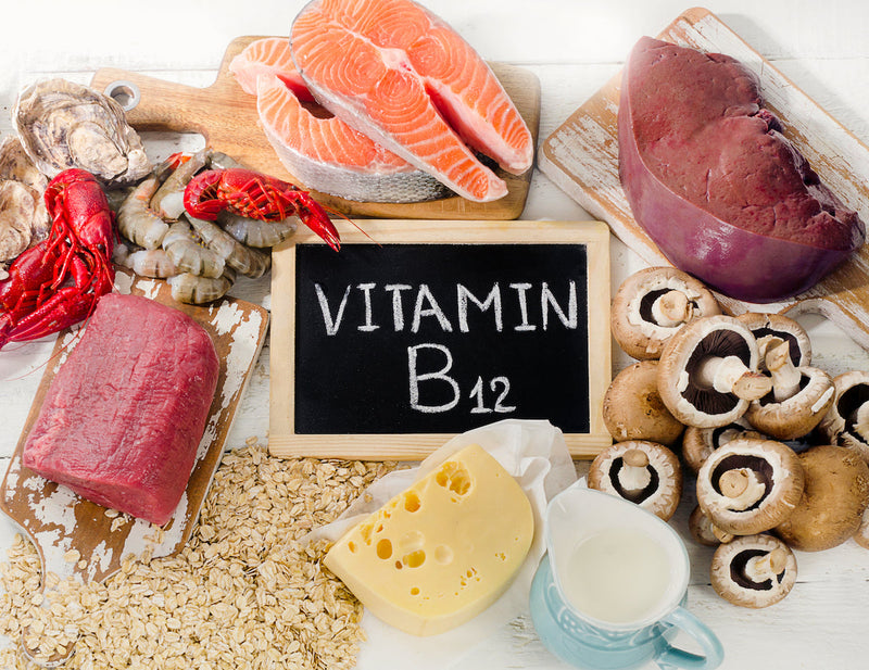 B12 lebensmittel