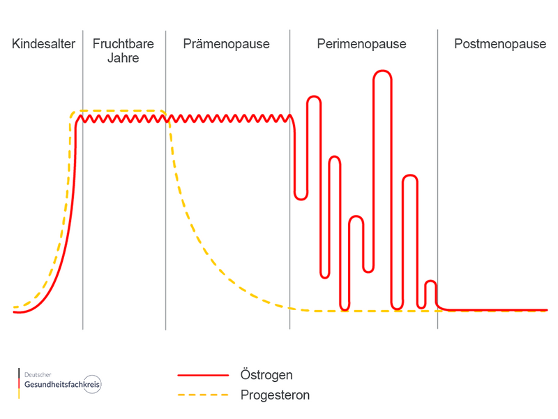 Meno dgf infografik