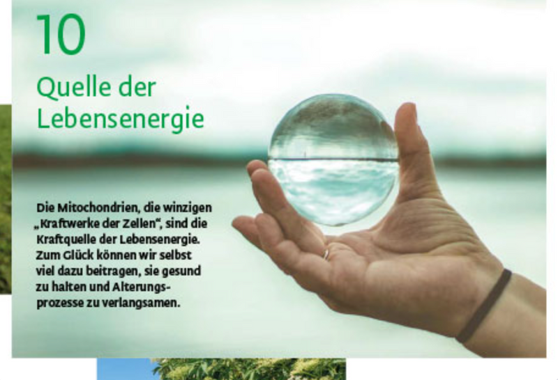 Omega 3 muskelschwaeche magazin mitochondrien
