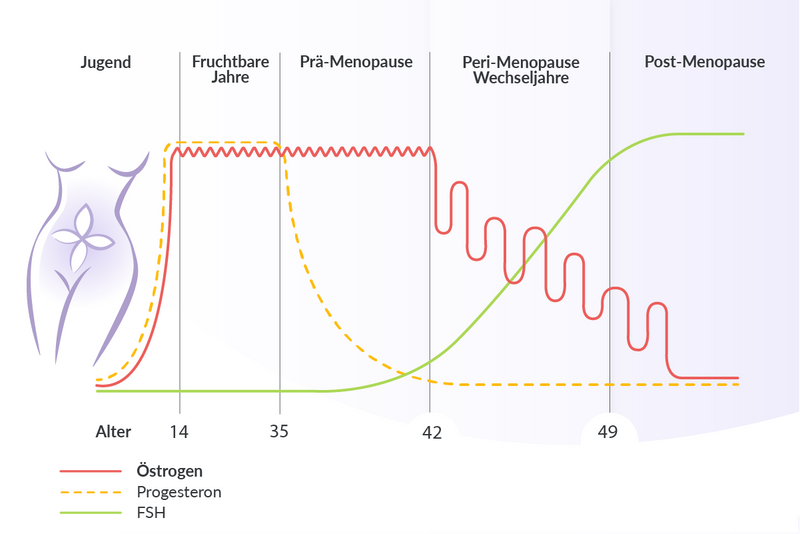 Vm infografik menokomplex 1200px 800px 2